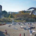 Aeronauten in Heringsdorf II